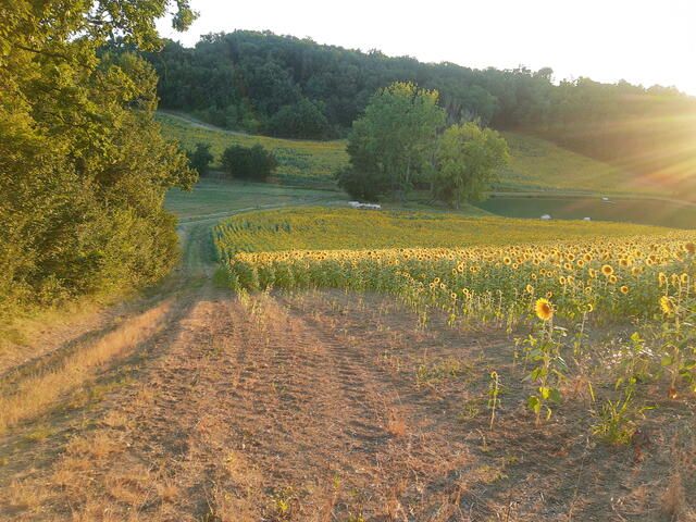 Omgeving, landschap